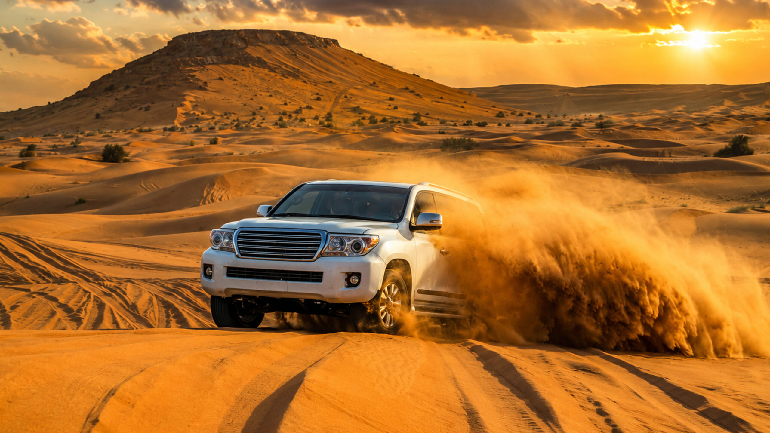 Luxury Limo Ride & Desert Safari Adventure
