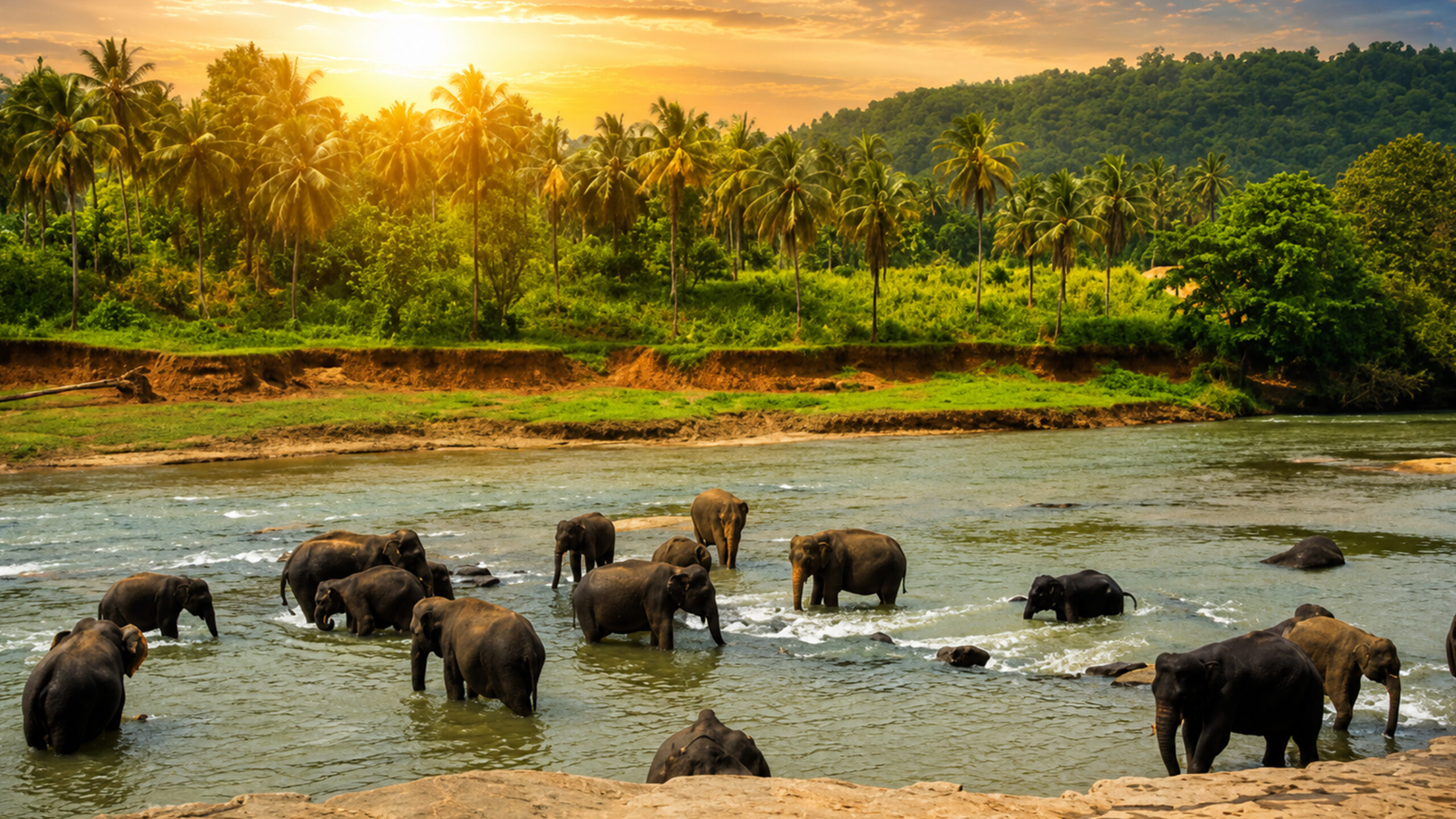 Thekkady Sightseeing