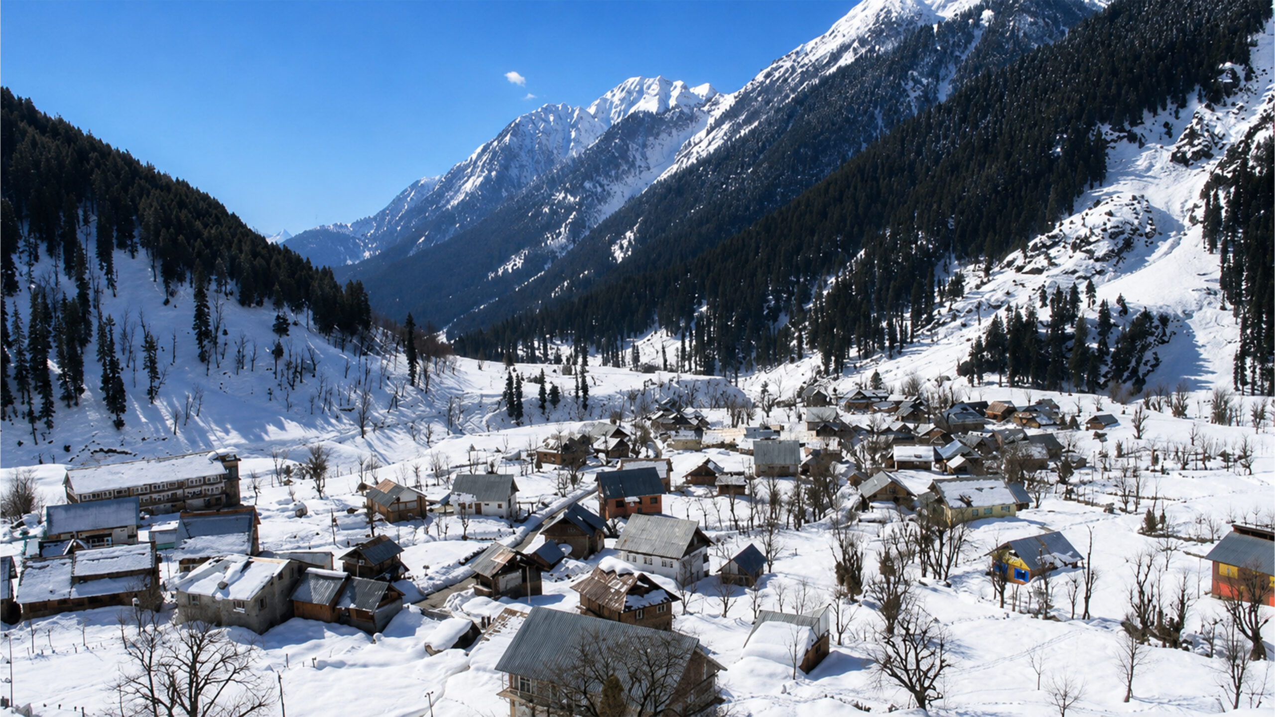 Kashmir