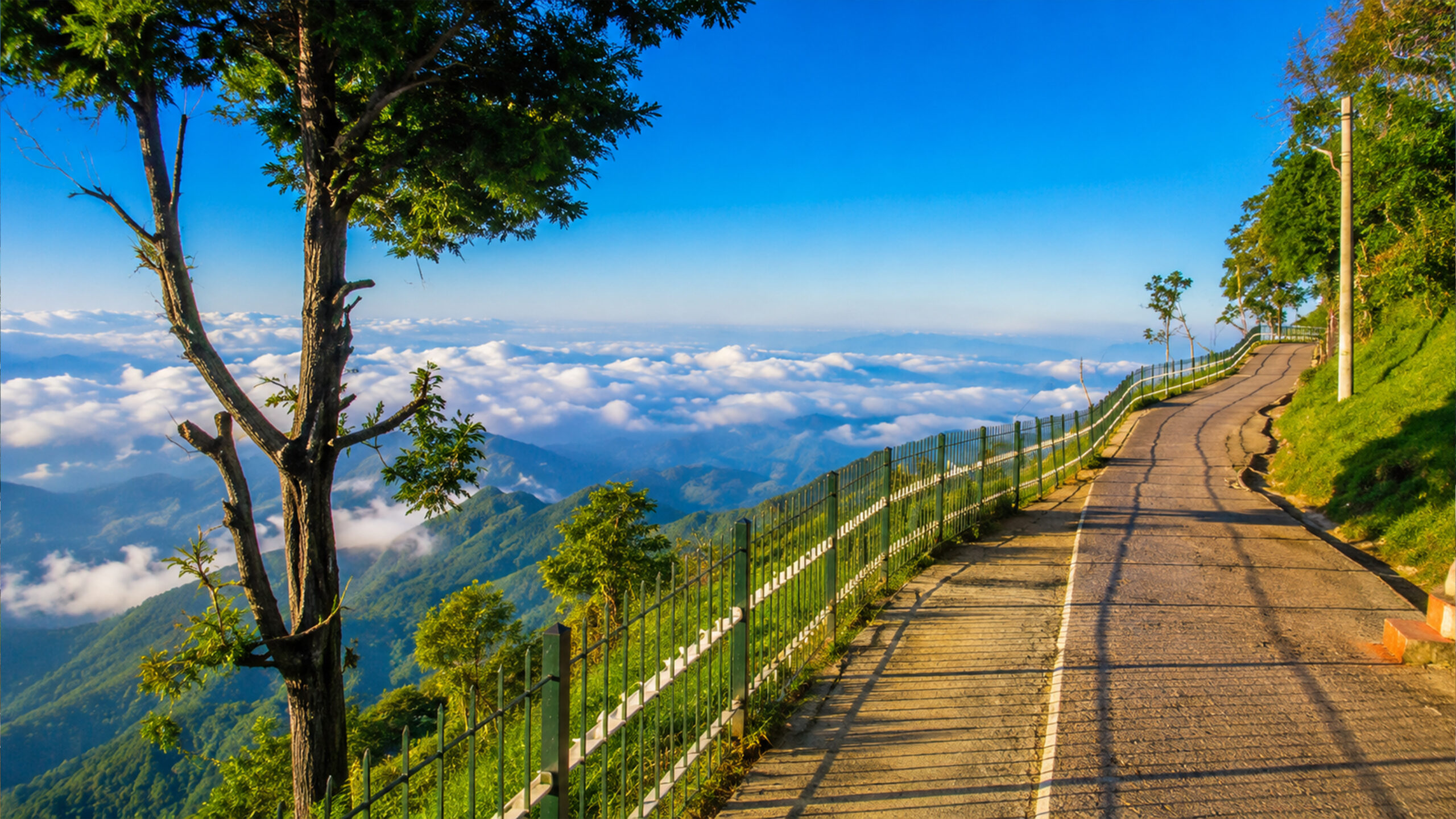 Kodaikanal Local Sightseeing
