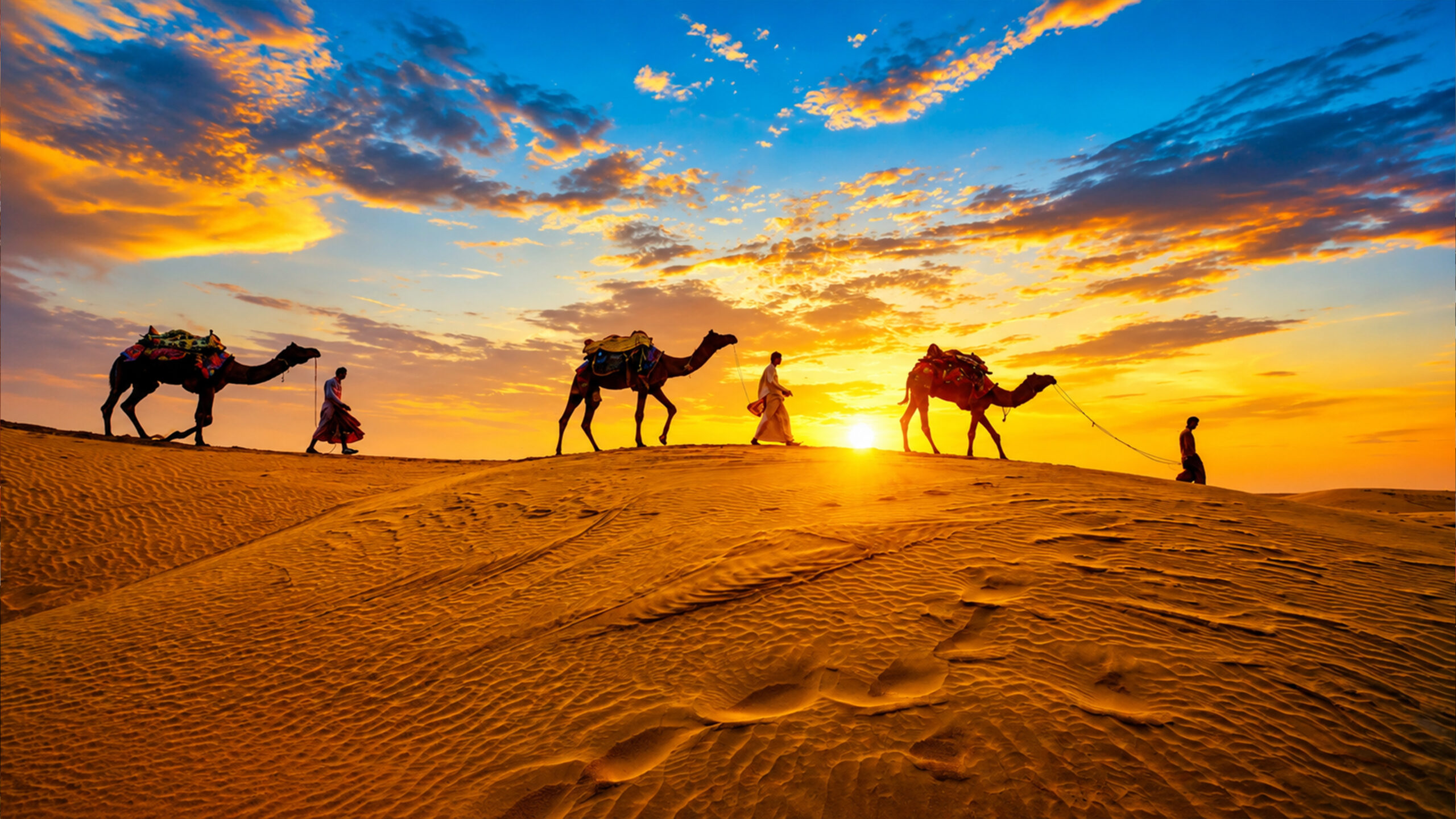 Sand Dunes Adventure