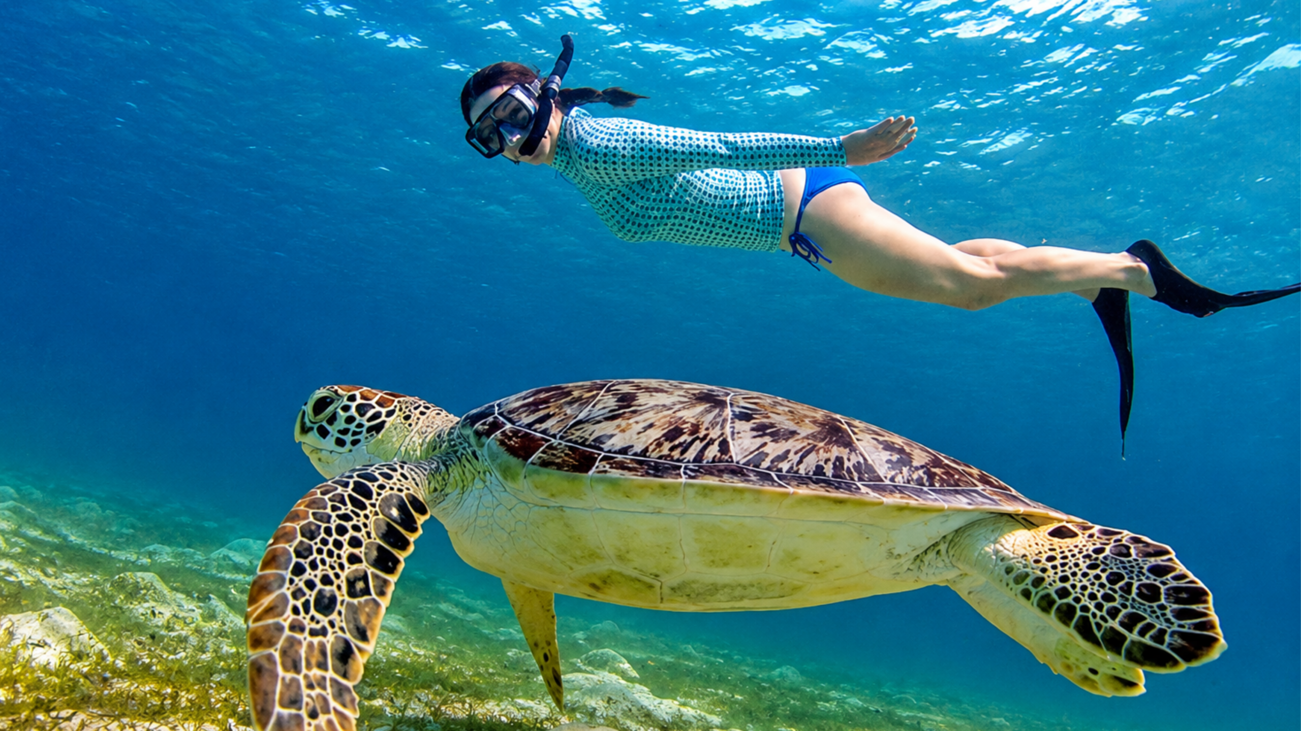 Snorkelling Adventure in the Gili Islands