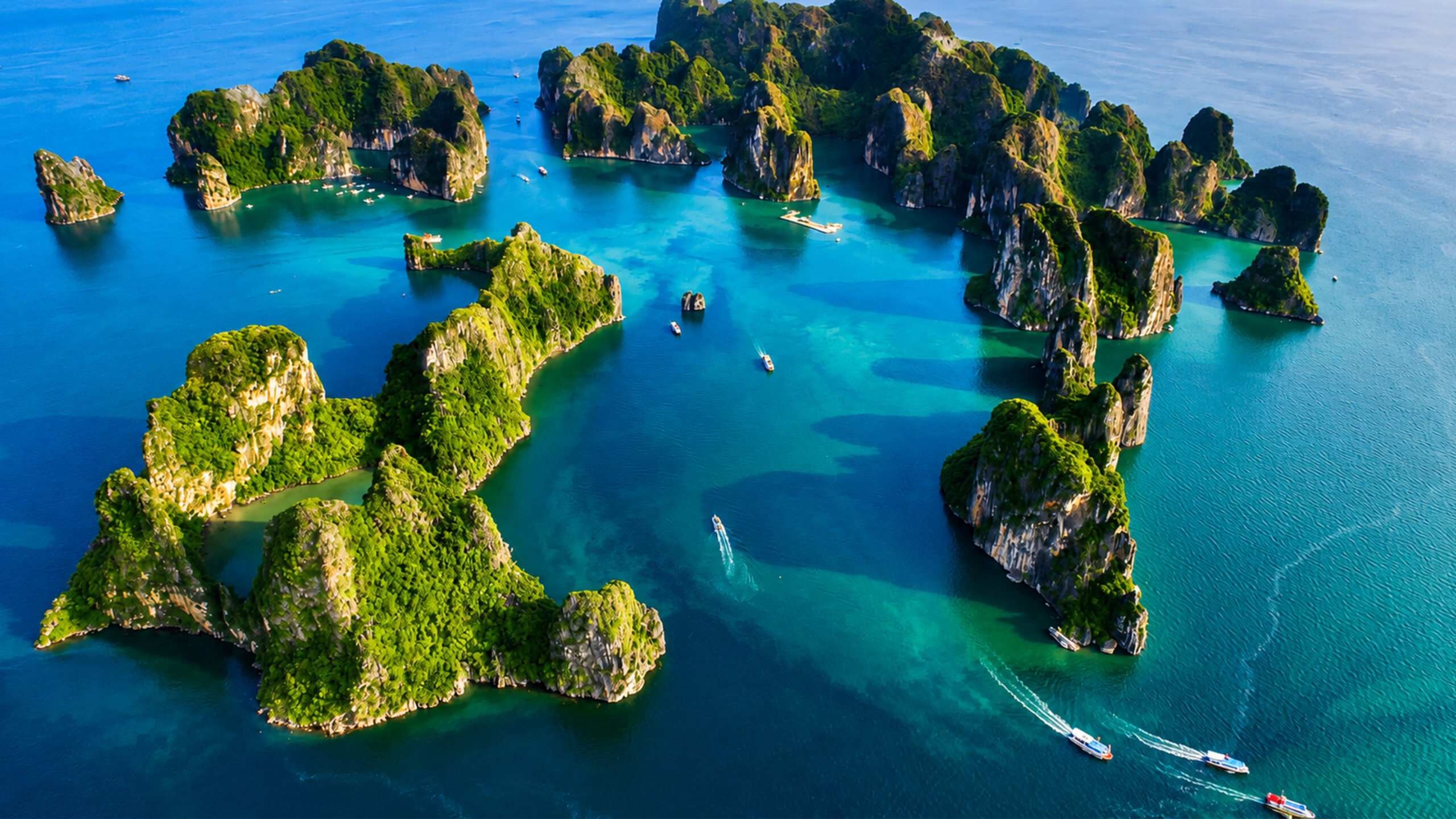Halong Bay Day Cruise